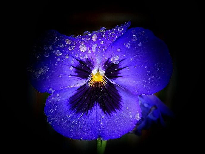 Wonder van de natuur: maar dan op foto