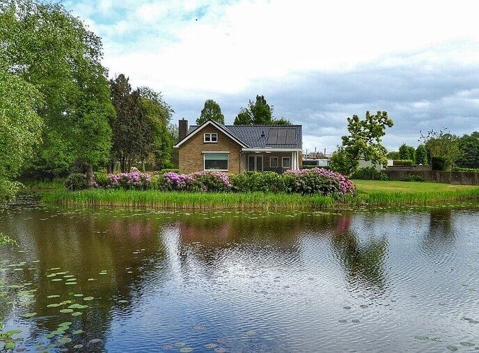 Veel geels voor de lens - Foto: Femmie Smink
