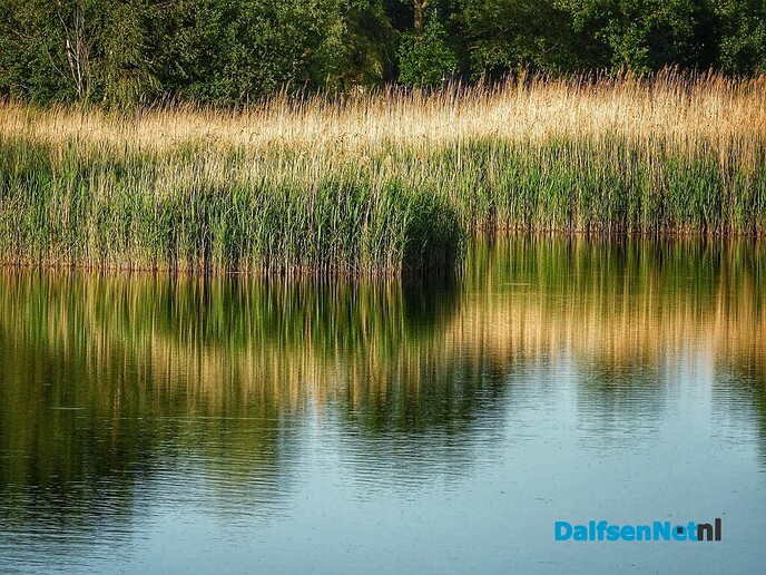 In de avond is het aangenaam en wat koeler - Foto: Femmie Smink