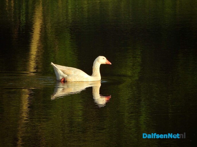 In de avond is het aangenaam en wat koeler - Foto: Femmie Smink
