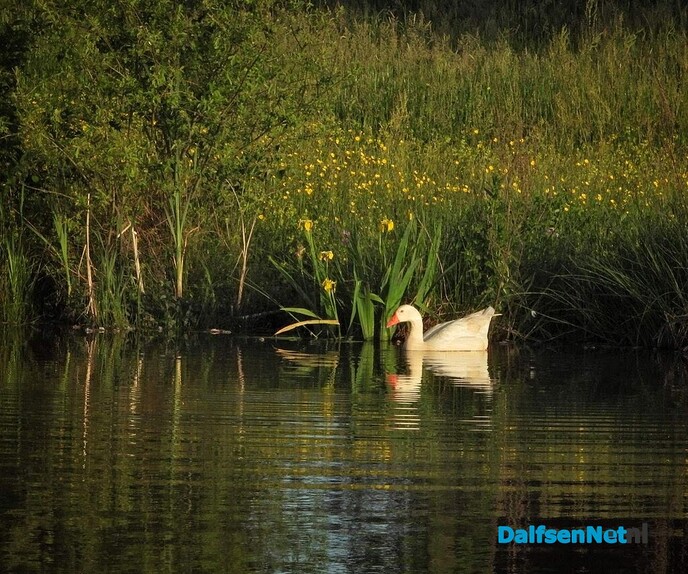 In de avond is het aangenaam en wat koeler - Foto: Femmie Smink