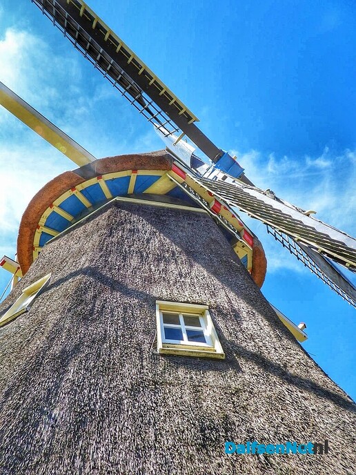 “Goedemiddag dames, u komt de molen bekijken?” - Foto: Femmie Smink