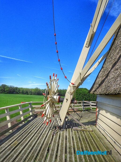 “Goedemiddag dames, u komt de molen bekijken?” - Foto: Femmie Smink