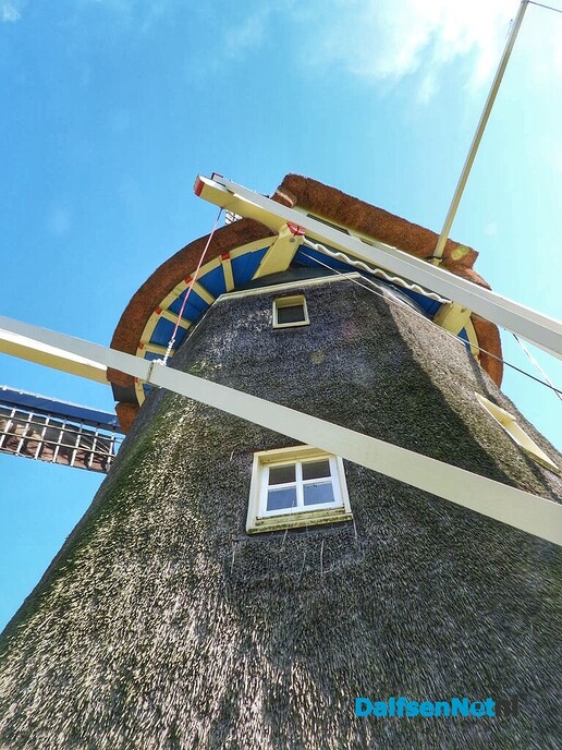 “Goedemiddag dames, u komt de molen bekijken?” - Foto: Femmie Smink