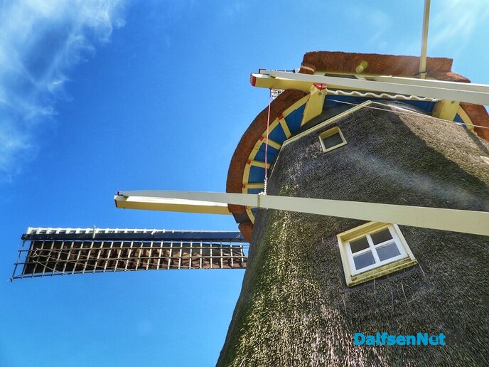 “Goedemiddag dames, u komt de molen bekijken?” - Foto: Femmie Smink