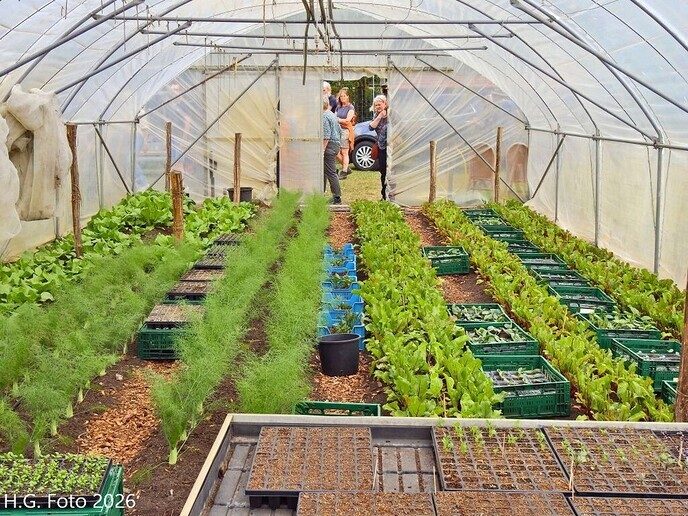 Lentemarkt tuinderij Aan’t Zandeinde