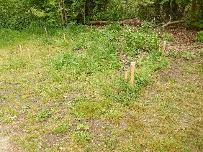 Bewoners wijk Sterrebos gerustgesteld per brief - Foto: Ingezonden foto