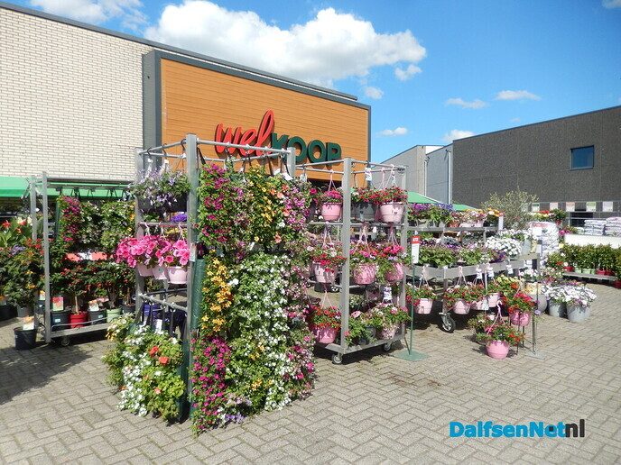 Welkoop zet de bloemetjes buiten - Foto: Willy