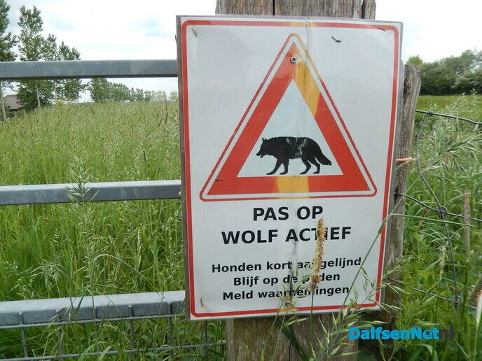 Terugweg via Hoog Zuthem naar huus - Foto: Willy