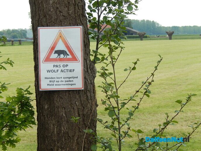 Terugweg via Hoog Zuthem naar huus - Foto: Willy