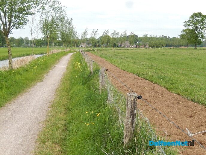 Volgens mij komen er weer mooie veldbloemen - Foto: Willy