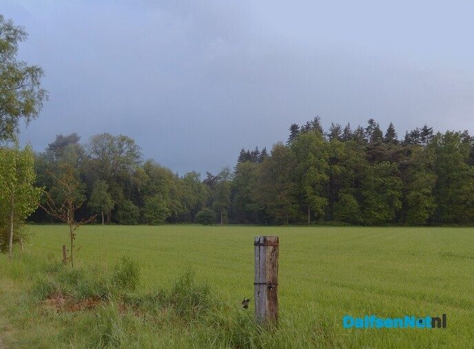 Prachtige wolken - Foto: Willy