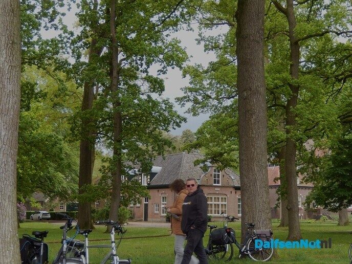 Stralende momenten op de boerenmarkt tijdens een zonnige ochtend - Foto: Willy