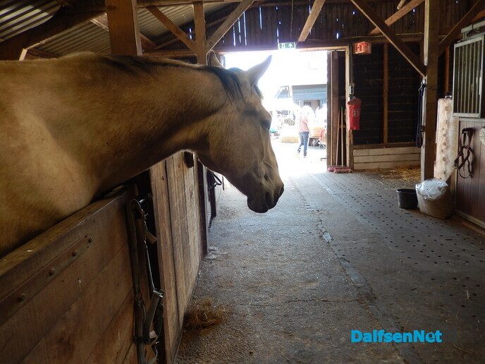 Boerenmarkt en openhuis Vechterweerd - Foto: Willy