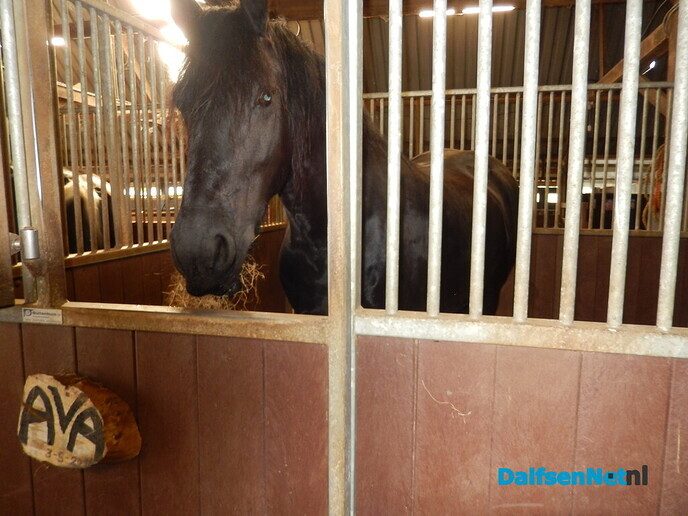Boerenmarkt en openhuis Vechterweerd - Foto: Willy