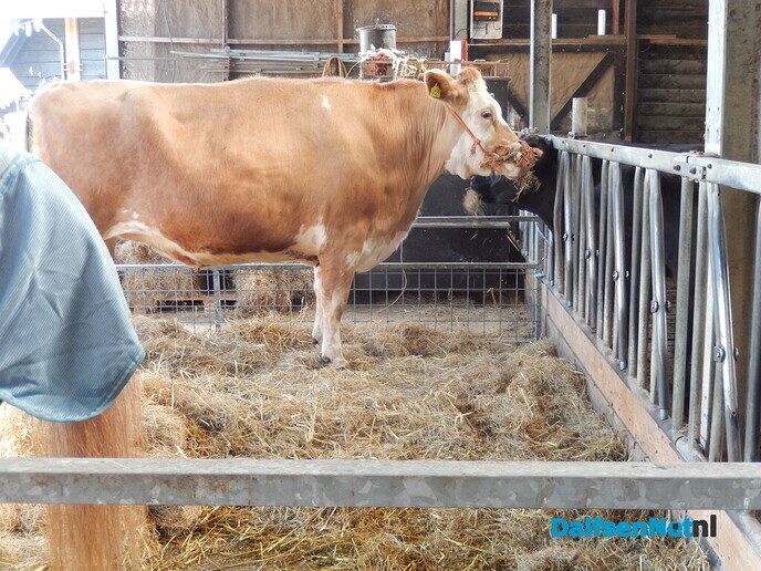 Boerenmarkt en openhuis Vechterweerd - Foto: Willy