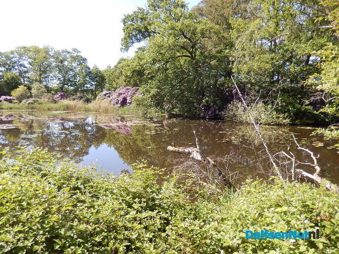 Dag van Kasteel bij huize Den Berg - Foto: Willy