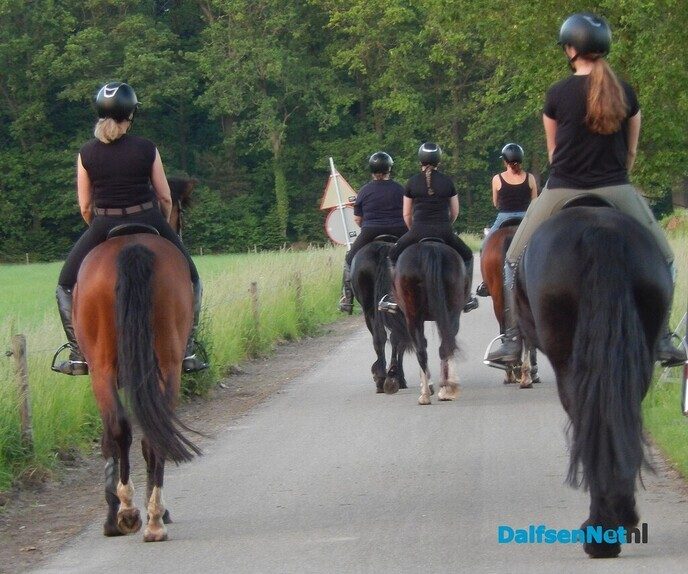 Even een avondrit - Foto: Willy