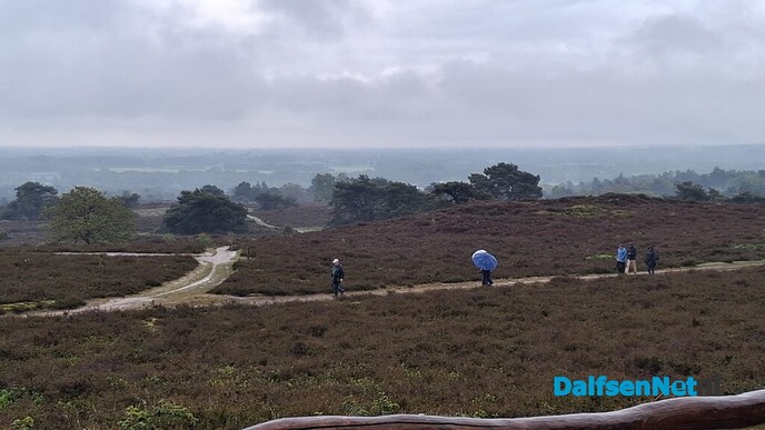 Natte dauwtrapwandeling op de Lemelerberg - Foto: Ingezonden foto