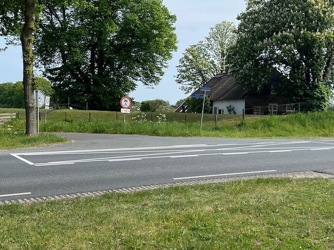 Kruisvlak Poppenallee - Foto: Ingezonden foto