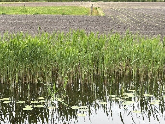 Buiten is het lekker opgefrist, maar droogte houdt aan