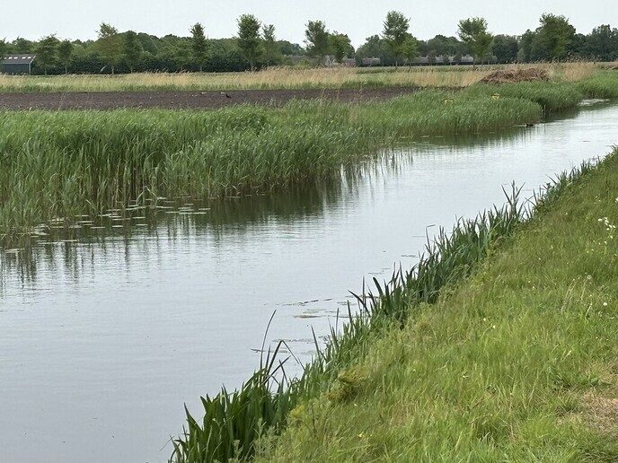 Buiten is het lekker opgefrist, maar droogte houdt aan - Foto: Ingezonden foto