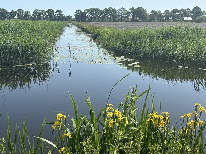 Veel plezier van neerslag gehad