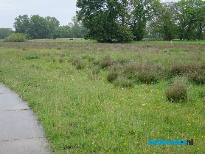 Vanmorgen vroeg rondje pontje, vanaf Hoonhorst 16,5 km - Foto: Wim