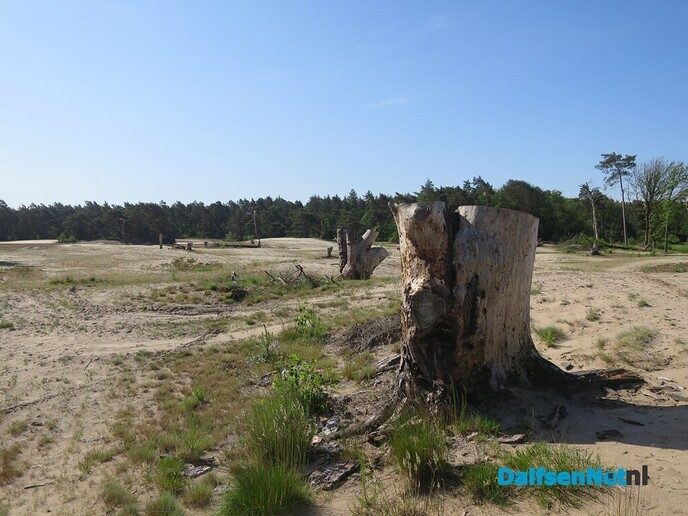 Prachtige wandeling vanaf de stuw in Junne - Foto: Wim
