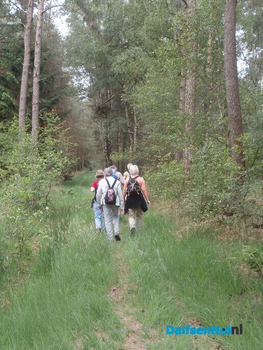 Groene Looper Wandel evenement tweede Pinksterdag 25 Mei - Foto: Ingezonden foto