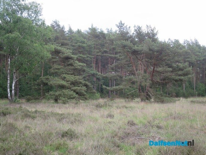 Een zondagmorgenwandeling vanaf het station Dalfsen - Foto: Wim