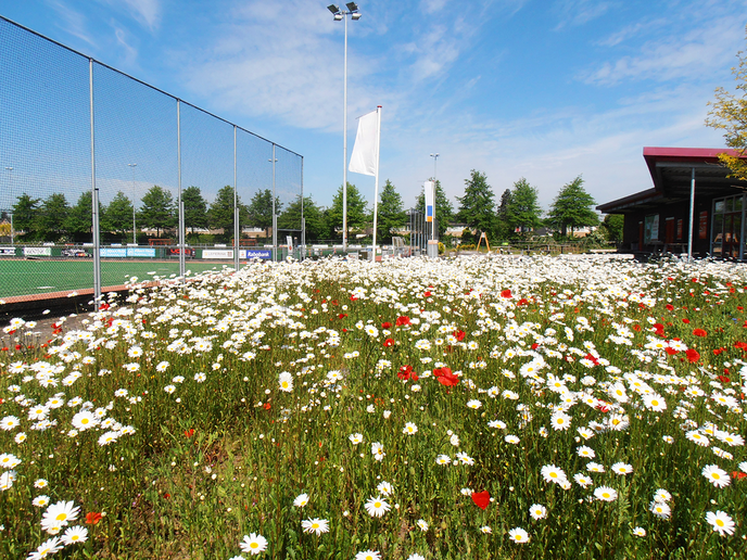 Subsidieregeling Natuur voor Elkaar voor sportterreinen uitgebreid