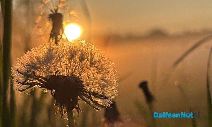 Zo mooi was het zaterdagmorgen in de Vlierhoek - Foto: Ingezonden foto