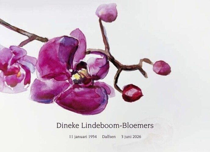 Dineke Lindeboom-Bloemers