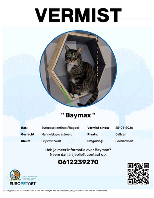 Kat Baymax was vermist, maar is terug - Foto: Ingezonden foto