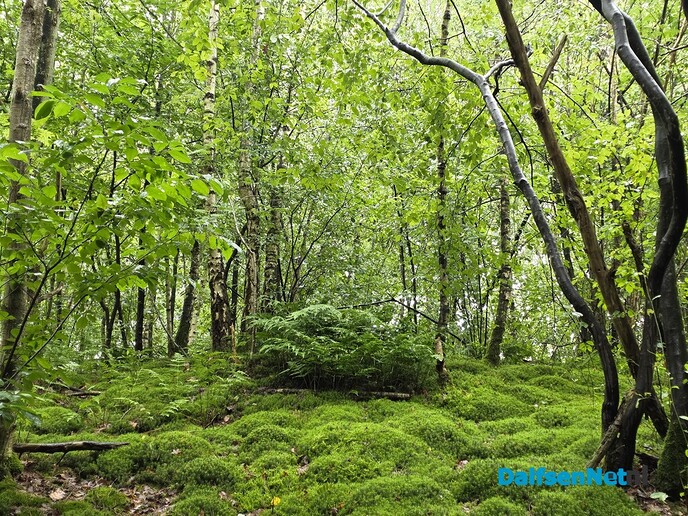 Heksenboter bij Huize Den Berg - Foto: Ingezonden foto