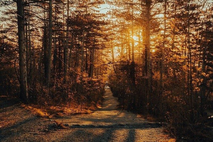 Wandelen in de Dalfser omgeving: wat maakt het zo bijzonder?