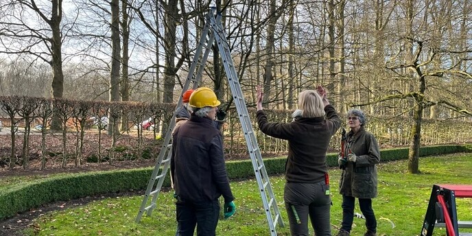 Cursus werken op hoogte