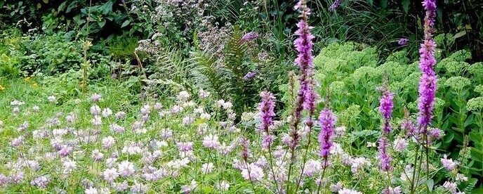 Je tuin als kroeg