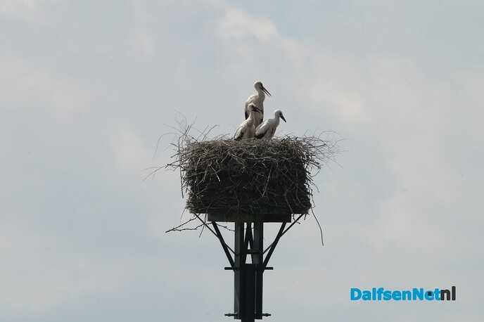 Karperkoppel Overijsselse Vecht 2026 - Foto: Ingezonden foto