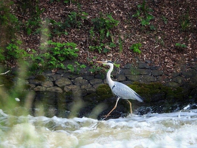 Rondje Oost Dalfsen - Foto: Femmie Smink