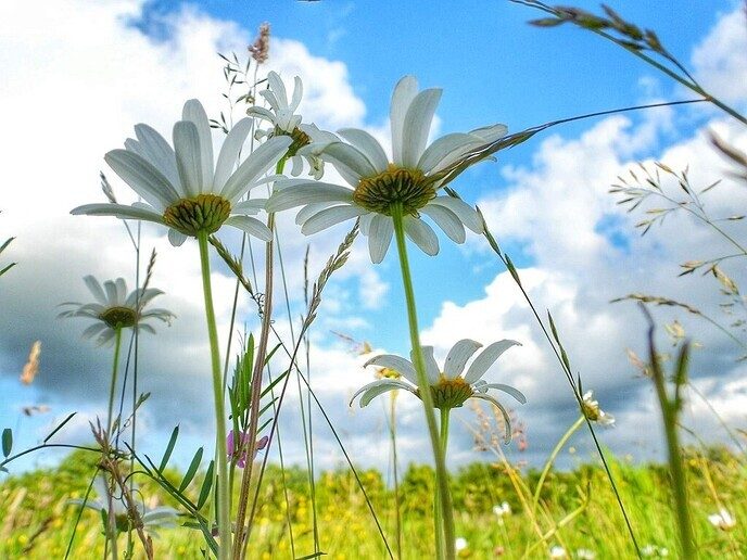 Een (kleine) variatie van de natuur - Foto: Femmie Smink