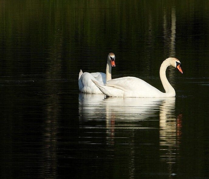 Wandeling nabij Takkenhoogte - Foto: Femmie Smink