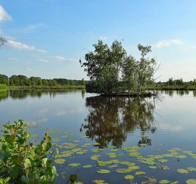 Wandeling nabij Takkenhoogte - Foto: Femmie Smink