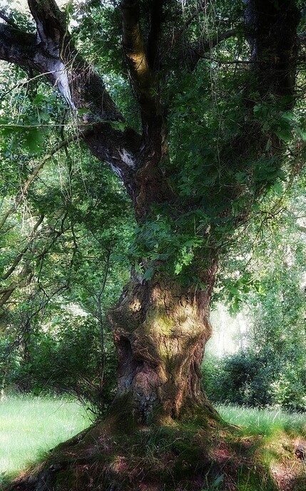 Wandeling nabij Takkenhoogte - Foto: Femmie Smink
