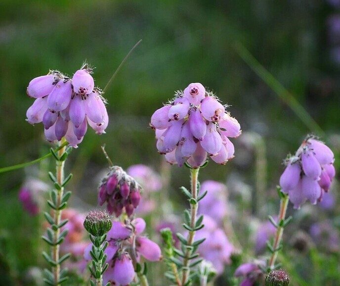 Wandeling nabij Takkenhoogte - Foto: Femmie Smink