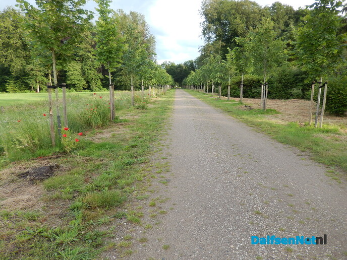 Aalshorsterpad - Foto: Willy
