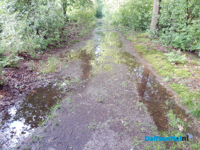 De droogte lijkt nu even voorbij - Foto: Willy