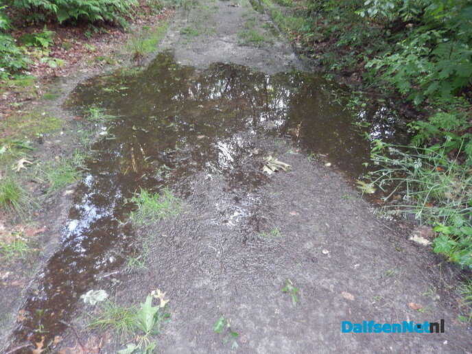 De droogte lijkt nu even voorbij - Foto: Willy