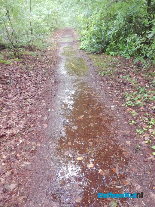 De droogte lijkt nu even voorbij - Foto: Willy
